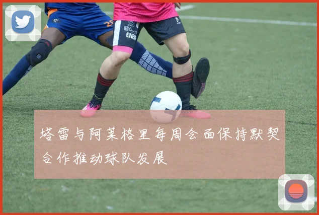 塔雷与阿莱格里每周会面保持默契合作推动球队发展